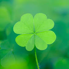 chúc các bạn học tập hiệu quả